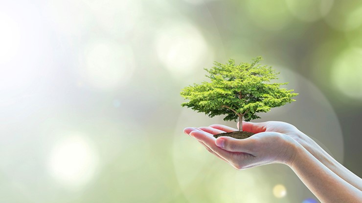 グリーン調達の推進イメージ