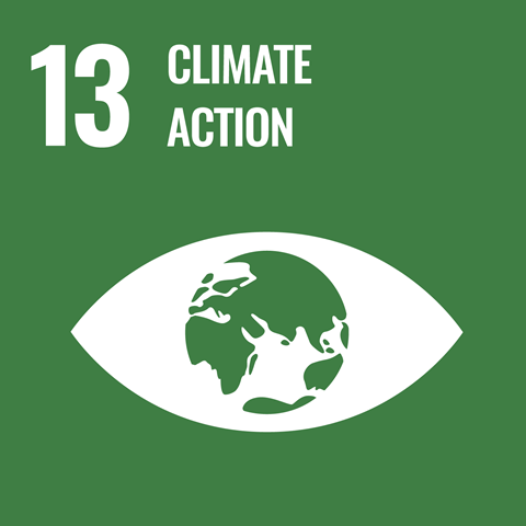 13.Take concrete measures against climate change