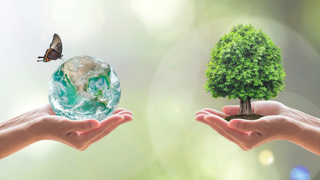 サステナビリティ