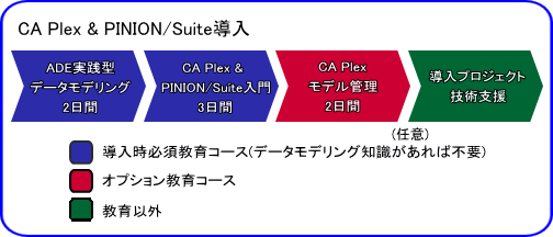 CA Plex & PINION/Suite導入