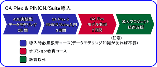 CA Plex & PINION/Suite導入 CA Plex & PINION/Suite導入